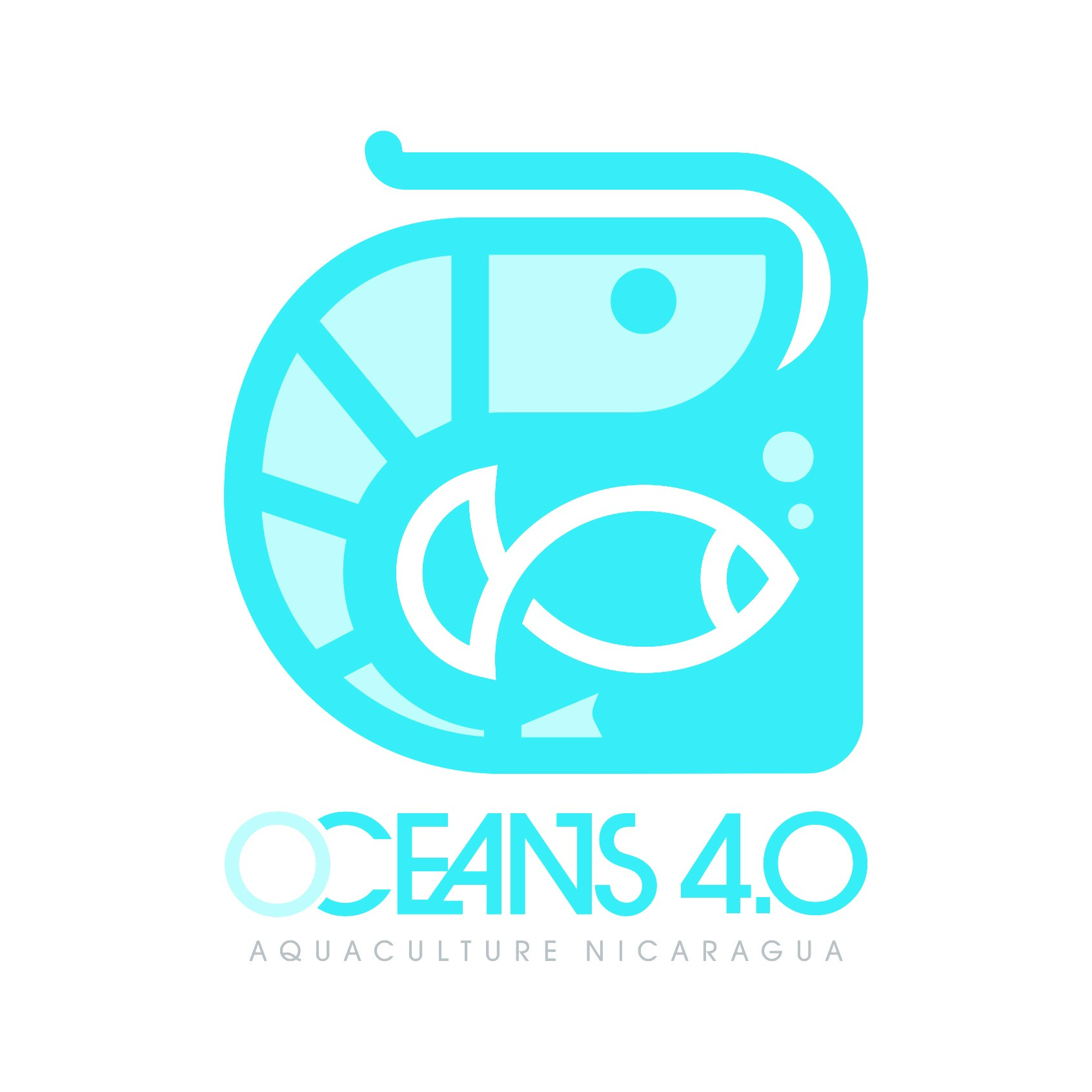 Oceans 4.0